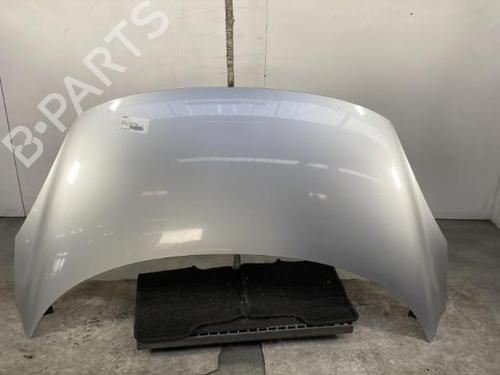 Used Hood RENAULT SCÉNIC III (JZ0/1_) 1.5 dCi (110 hp) 19952562