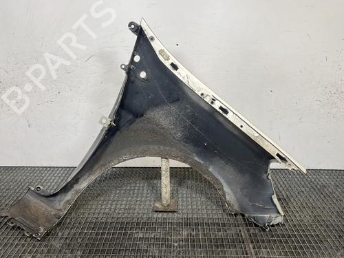 Left front fenders RENAULT CLIO III (BR0/1, CR0/1) 1.5 dCi (BR17, CR17) | BP29841694C41