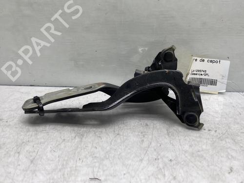 Used Hinge/Door check strap CHEVROLET AVEO / KALOS Hatchback (T250, T255) [2006-2025]  19963131