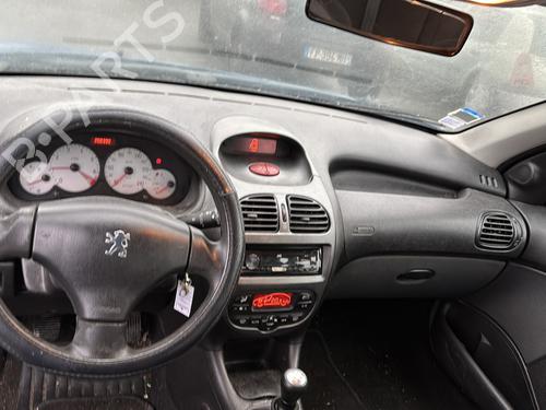 Right front door PEUGEOT 206 Hatchback (2A/C) 1.4 i | BP23764858C3