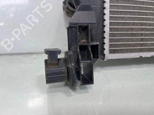 Used Water radiator Water radiator FIAT TIPO Hatchback (356_, 357_) [2016-2026] 36389319 36389319