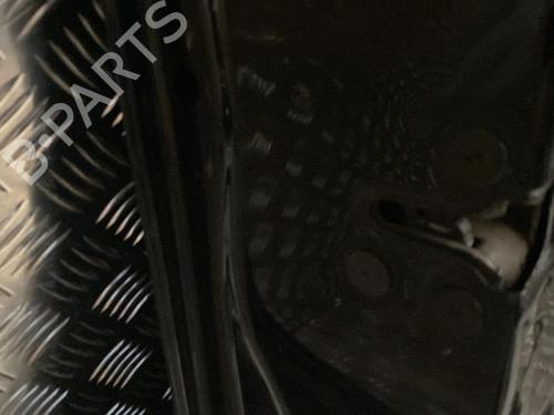 Used Left front door RENAULT SCÉNIC III (JZ0/1_) 1.5 dCi (110 hp) 30855433