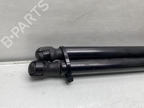 Tailgate lift support AUDI A3 Sportback (8PA) 1.9 TDI | BP21490724C138 