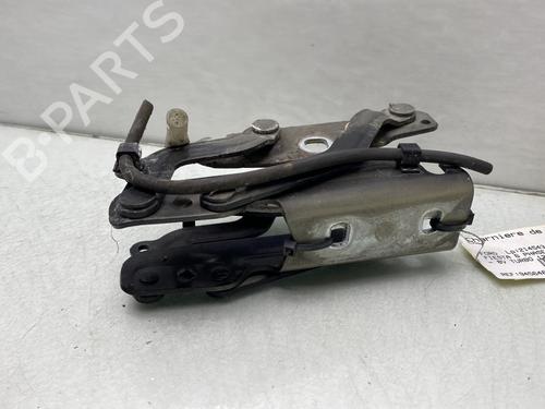Hinge/Door check strap FORD FIESTA VI (CB1, CCN) 1.4 TDCi | BP20724612C146 