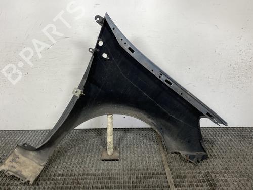 Left front fenders RENAULT CLIO III (BR0/1, CR0/1) 1.5 dCi (BR17, CR17) | BP25866032C41 