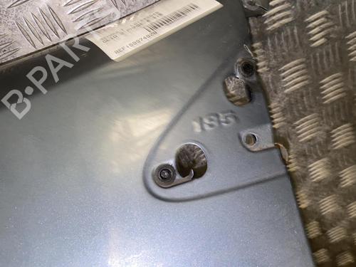 Left front fenders RENAULT CLIO III (BR0/1, CR0/1) 1.5 dCi (C/BR0G, C/BR1G) | BP28625489C41 