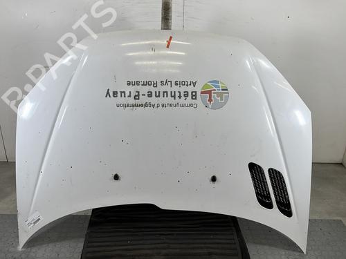 Used Hood PEUGEOT 206 Hatchback (2A/C) 1.4 HDi eco 70 (68 hp) 31146857