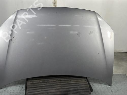 Used Hood VW POLO (9N_, 9A_) 1.4 TDI (70 hp) 28281437