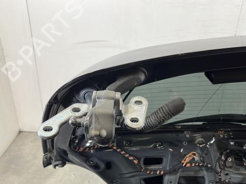 Tailgate MERCEDES-BENZ R-CLASS (W251, V251) R 320 CDI 4-matic (251.022, 251.122) | BP30100897C6