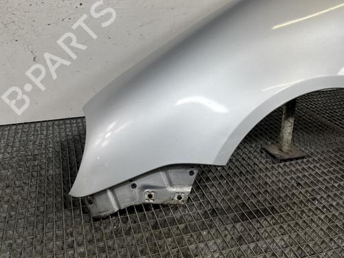 Left front fenders VW POLO IV (9N_, 9A_) 1.2 12V | BP29501675C41 