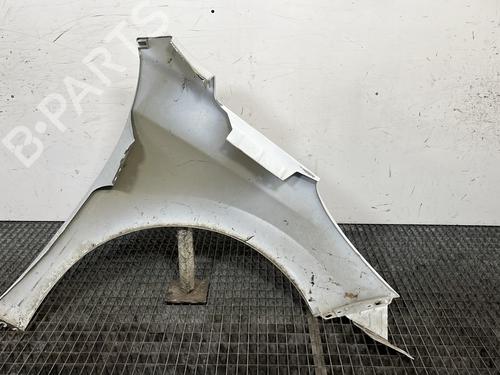 Forkjerm venstre PEUGEOT 207 (WA_, WC_) 1.4 HDi | BP29939681C41 