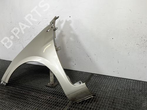 Left front fenders RENAULT CLIO III (BR0/1, CR0/1) 1.5 dCi (BR17, CR17) | BP29841694C41