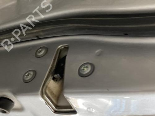 Left front door FIAT SEDICI (189_) 1.9 D Multijet 4x4 | BP19998907C2 