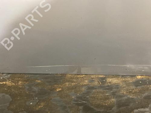 Left front door RENAULT MEGANE II (BM0/1_, CM0/1_)  | BP21956543C2 