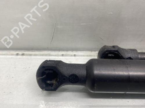 Tailgate lift support PEUGEOT 206 Hatchback (2A/C)  | BP19967301C138 