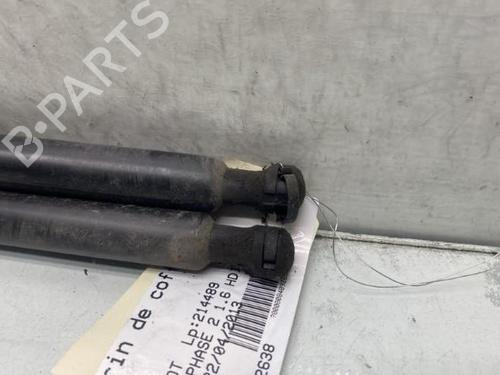 Tailgate lift support PEUGEOT 308 I (4A_, 4C_) 1.6 HDi | BP19960108C138 