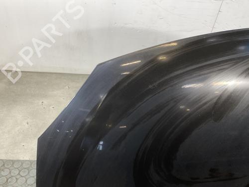 Hood RENAULT TWINGO II (CN0_) 1.2 16V (CN0K, CN0V, CN0A) | BP24420439C1 