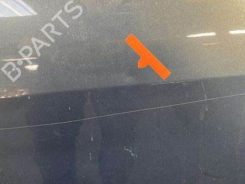 Right front door RENAULT SCÉNIC II (JM0/1_) 1.5 dCi (JM1E, JM16) | BP28280899C3 