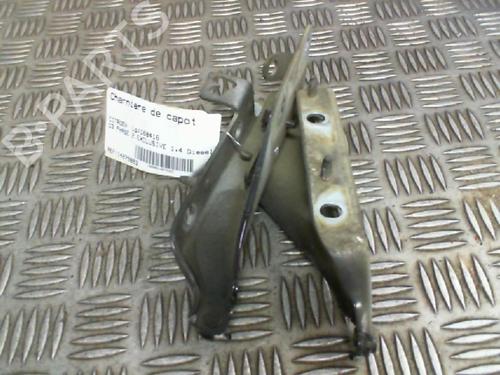 Used Hinge/Door check strap CITROËN C3 I (FC_, FN_) [2002-2013]  20034191