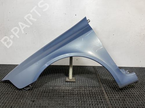 Used Left front fenders RENAULT LAGUNA II (BG0/1_) 2.0 16V (BG00, BG0K, BG0P, BG0W) (135 hp) 21051184