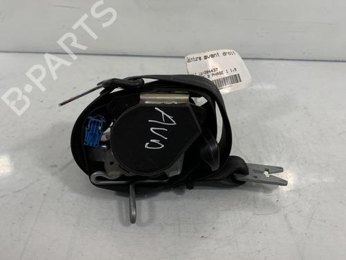 Used Front right belt tensioner RENAULT SCÉNIC III (JZ0/1_) 1.9 dCi (JZ0J, JZ1J, JZ1K, JZ1S) (131 hp) 19996989