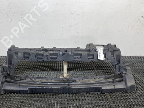 Frontplate/Frontkurv FIAT SCUDO Van (270_, 272_) 1.6 D Multijet (90 hp) 21490896
