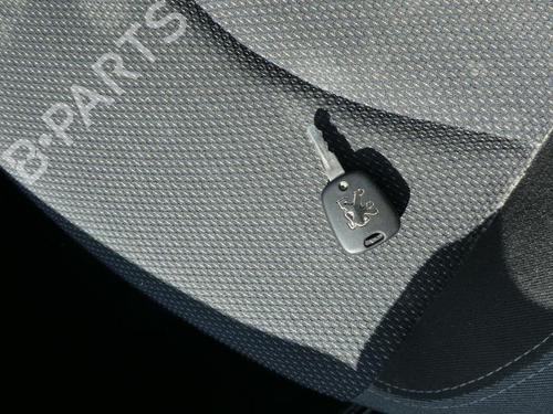 Rear left exterior door handle PEUGEOT 206 Hatchback (2A/C)  | BP20013043C130 