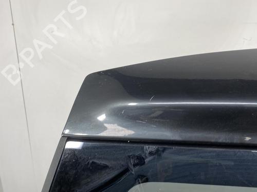 Tailgate CHRYSLER VOYAGER / GRAND VOYAGER III (GS_, NS_)  | BP19954920C6 