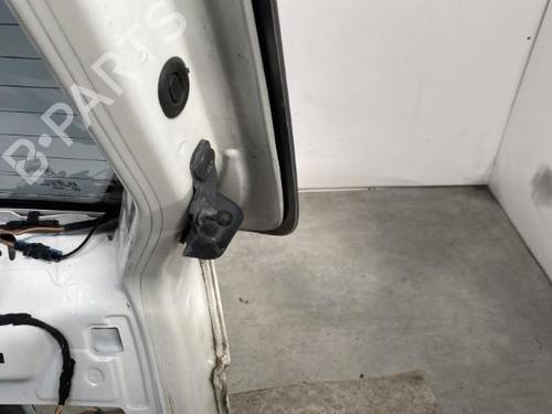 Used Tailgate Tailgate BMW X5 (E70) [2006-2013] 21961709 21961709