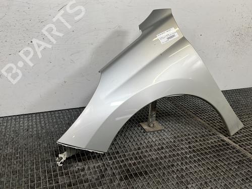 Left front fenders PEUGEOT 207 (WA_, WC_) 1.6 HDi | BP29744671C41