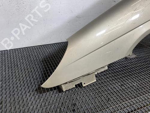 Left front fenders CITROËN C5 II (RC_) 1.6 HDi (RC8HZB) | BP21820391C41 