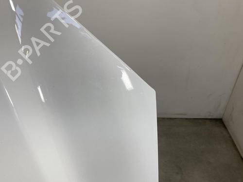 Hood MERCEDES-BENZ SPRINTER 3,5-t Van (B906) 311 CDI (906.631, 906.633, 906.635, 906.637) | BP30129381C1