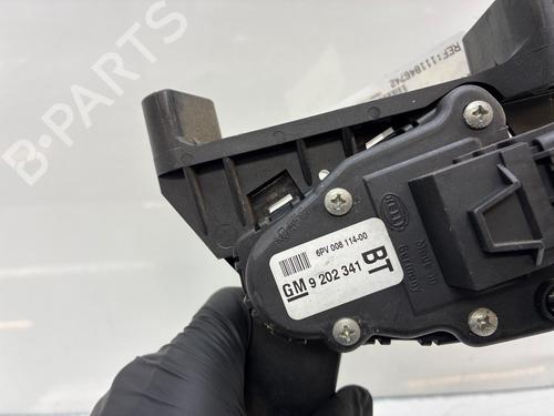 Pedal Pedal OPEL ZAFIRA A MPV (T98) 2.2 DTI 16V (F75) (125 hp) 35896190 35896190