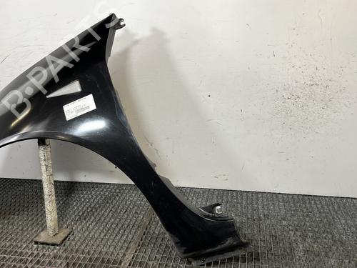 Left front fenders RENAULT ESPACE IV (JK0/1_) 2.0 dCi (JK01, JK02, JK1J, JK1K, JK1H) | BP29560494C41 