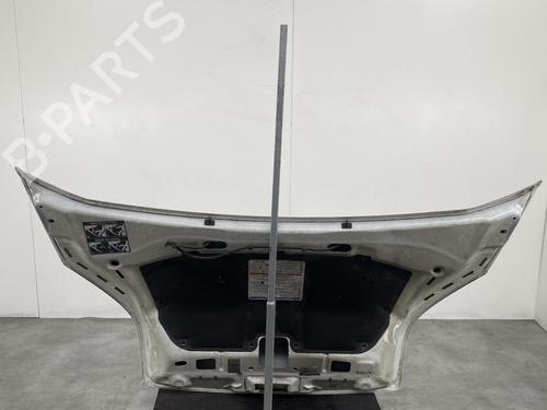 Hood PEUGEOT BIPPER (AA_) 1.3 HDi 75 | BP21957826C1 