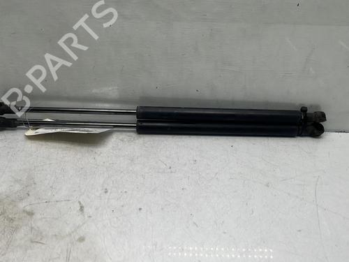 Used Tailgate lift support SUZUKI IGNIS III (MF, FF) 1.2 Hybrid AllGrip (ATK412) (90 hp) 19954385