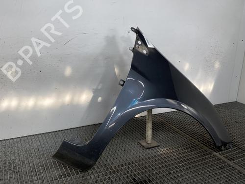 Right front fenders RENAULT CLIO III (BR0/1, CR0/1) 1.5 dCi (BR17, CR17) | BP25652783C42 