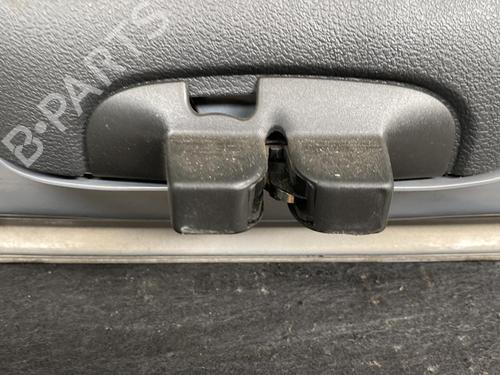 Tailgate RENAULT VEL SATIS (BJ0_) 2.2 dCi (BJ0E, BJ0F) | BP19994986C6 