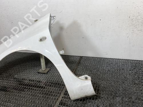 Left front fenders PEUGEOT 307 (3A/C) 2.0 HDi 90 | BP24395720C41 