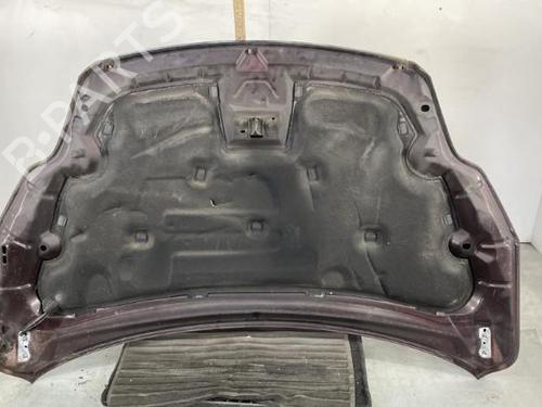 Hood FORD FOCUS II (DA_, HCP, DP) 1.6 TDCi | BP20610443C1 