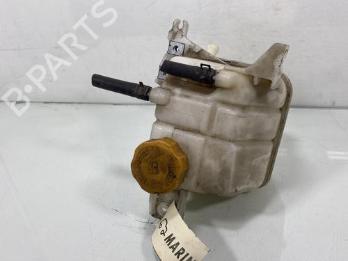 expansion-tank-chevrolet-captiva-c100-c140-20-d-96837836-2006-20219781 main image