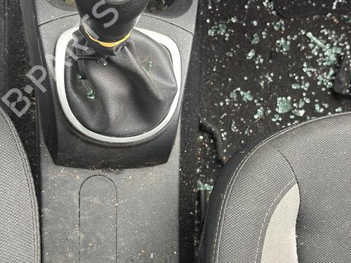 Luce targa RENAULT CLIO III (BR0/1, CR0/1) 1.5 dCi (C/BR0G, C/BR1G) | BP30864051I40