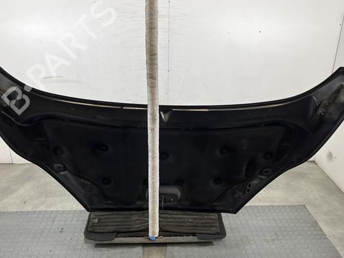 Hood FORD FIESTA VI (CB1, CCN) 1.6 TDCi | BP29453297C1 