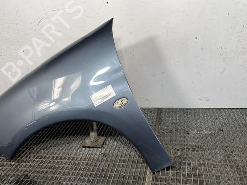 Left front fenders CITROËN BERLINGO / BERLINGO FIRST MPV (MF_, GJK_, GFK_) 1.6 HDI 90 (MF9HX) | BP28282070C41 