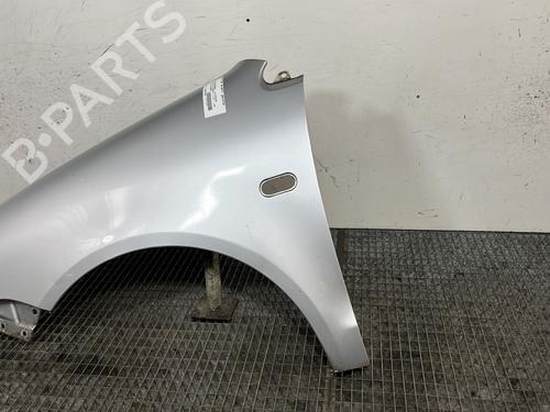 Left front fenders VW POLO IV (9N_, 9A_) 1.2 12V | BP29501675C41 