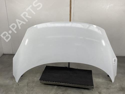 Hood RENAULT SCÉNIC III (JZ0/1_) 1.9 dCi (JZ0J, JZ1J, JZ1K, JZ1S) | BP19954873C1
