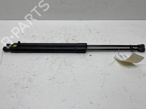 Used Tailgate lift support RENAULT SCÉNIC III (JZ0/1_) 1.5 dCi (JZ02, JZ0R) (95 hp) 19975365