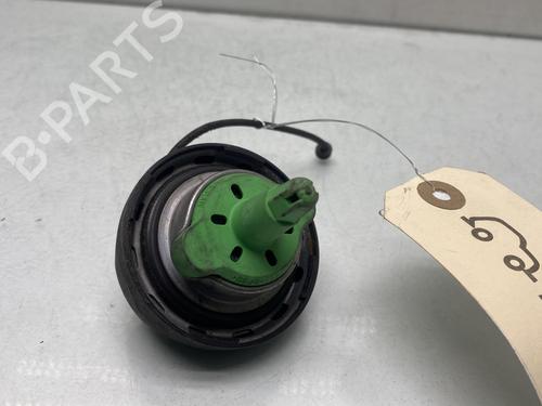 Fuel cap BMW 3 Coupe (E92) 335 i | BP29841758C161 