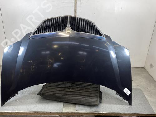 Used Hood LANCIA PHEDRA (179_) 2.0 D Multijet (179.AXL1B, 179.BXL1B) (136 hp) 21485909