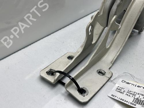 Hinge/Door check strap FIAT 500 (312_) 1.3 D Multijet (312AXE1A) | BP23765118C146